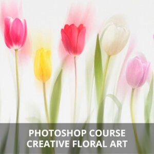Creative floral art Photoshop course