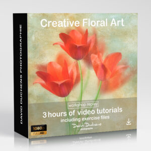 Creative Floral Art (REPLAY)