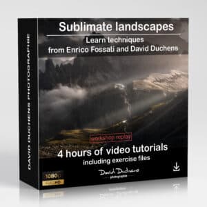 Sublimate landscapes (REPLAY)