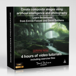 Create composite images using artificial intelligence and photography (REPLAY)