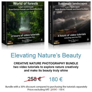 Creative nature photography bundle