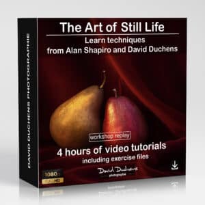 The Art of Still Life (REPLAY)