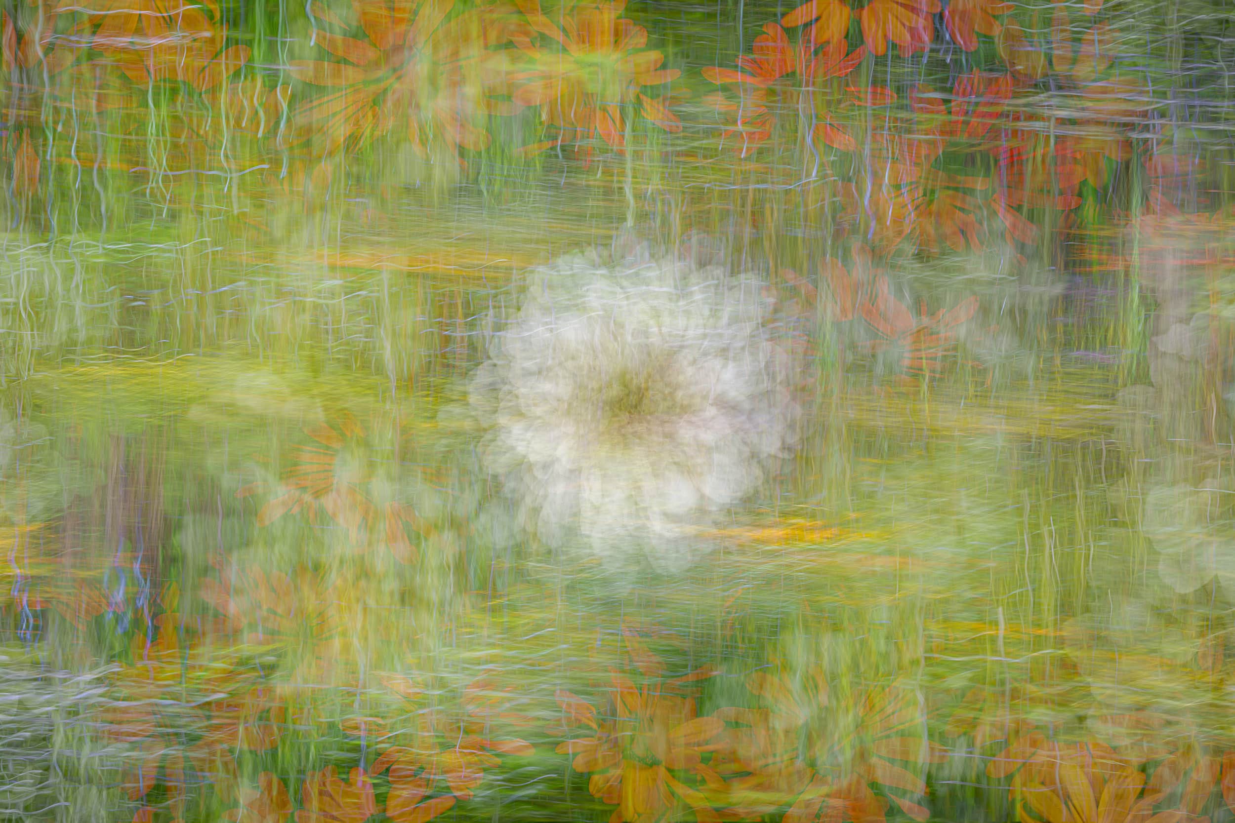 Online workshop - Artistic Expression & ICM with Florals - Image 2