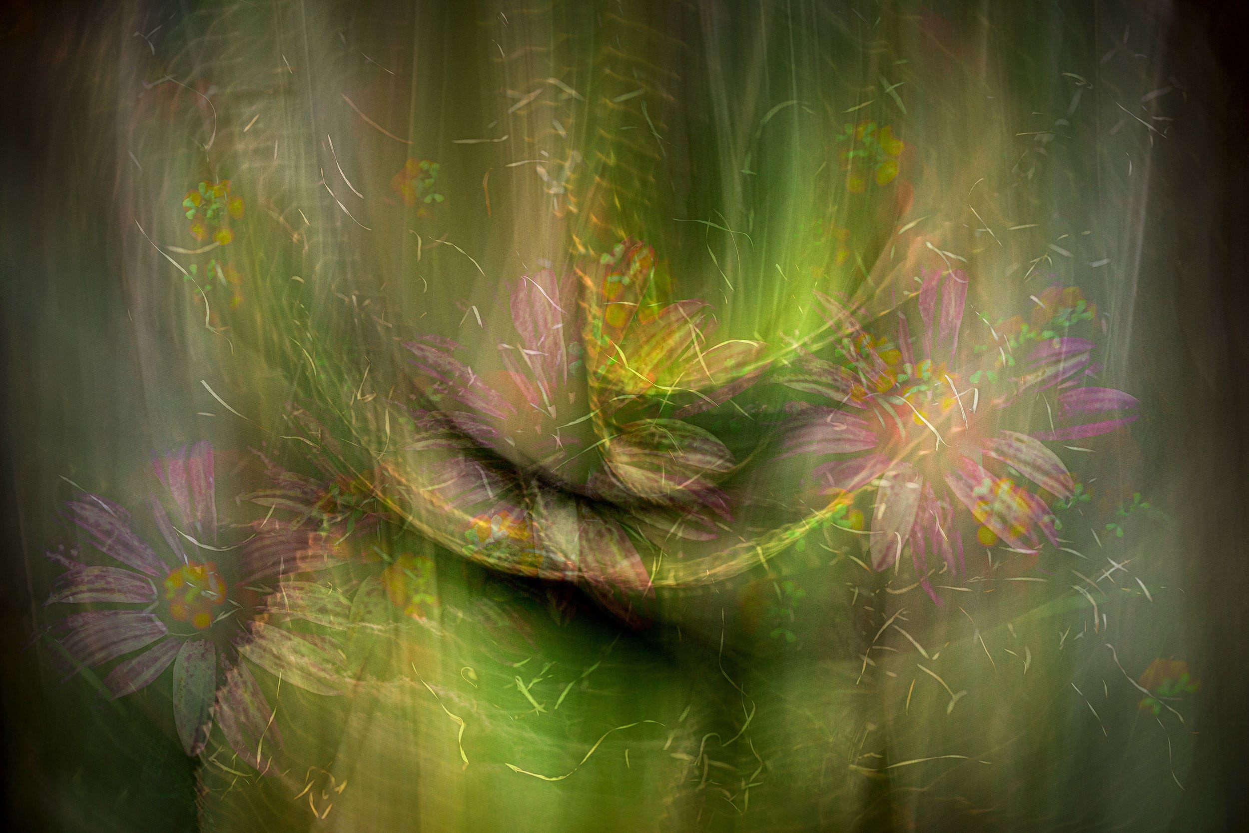 Online workshop - Artistic Expression & ICM with Florals - Image 3