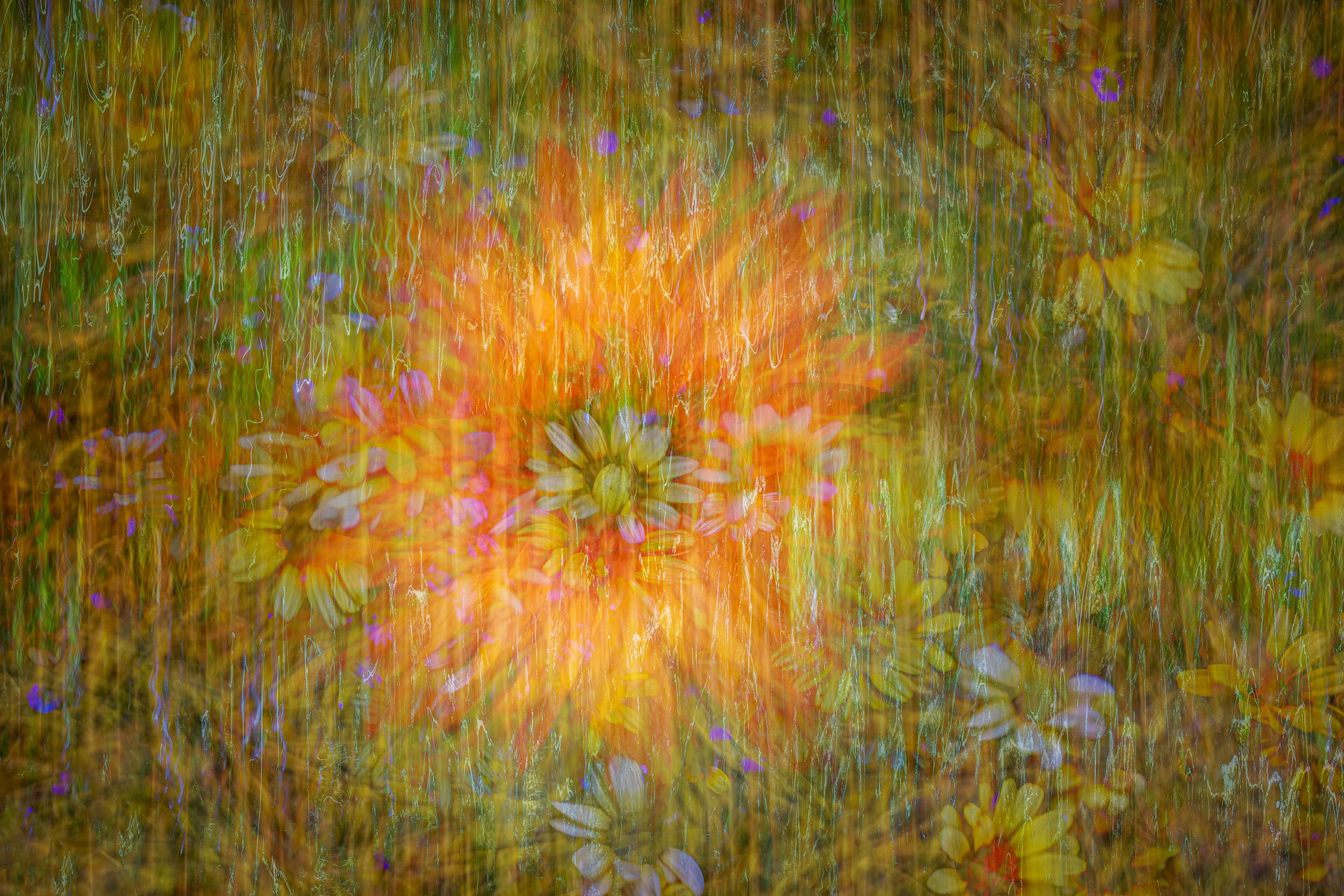 Online workshop - Artistic Expression & ICM with Florals - Image 4