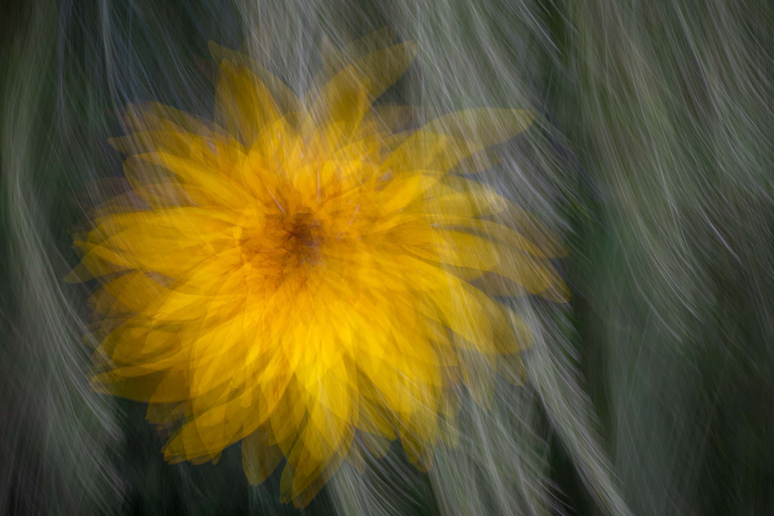 Online workshop - Artistic Expression & ICM with Florals - Image 6
