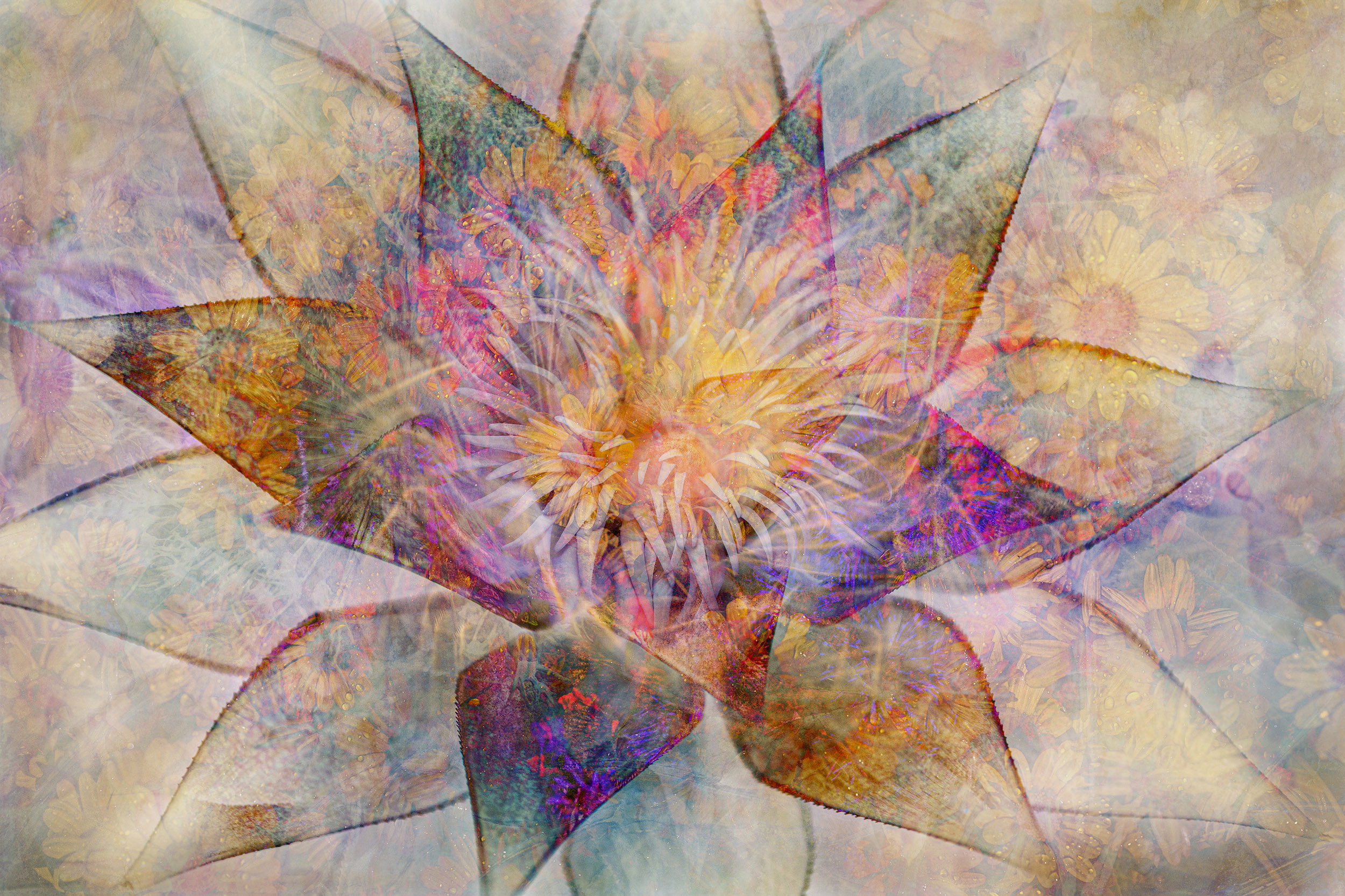 Online workshop - Artistic Expression & ICM with Florals - Image 8