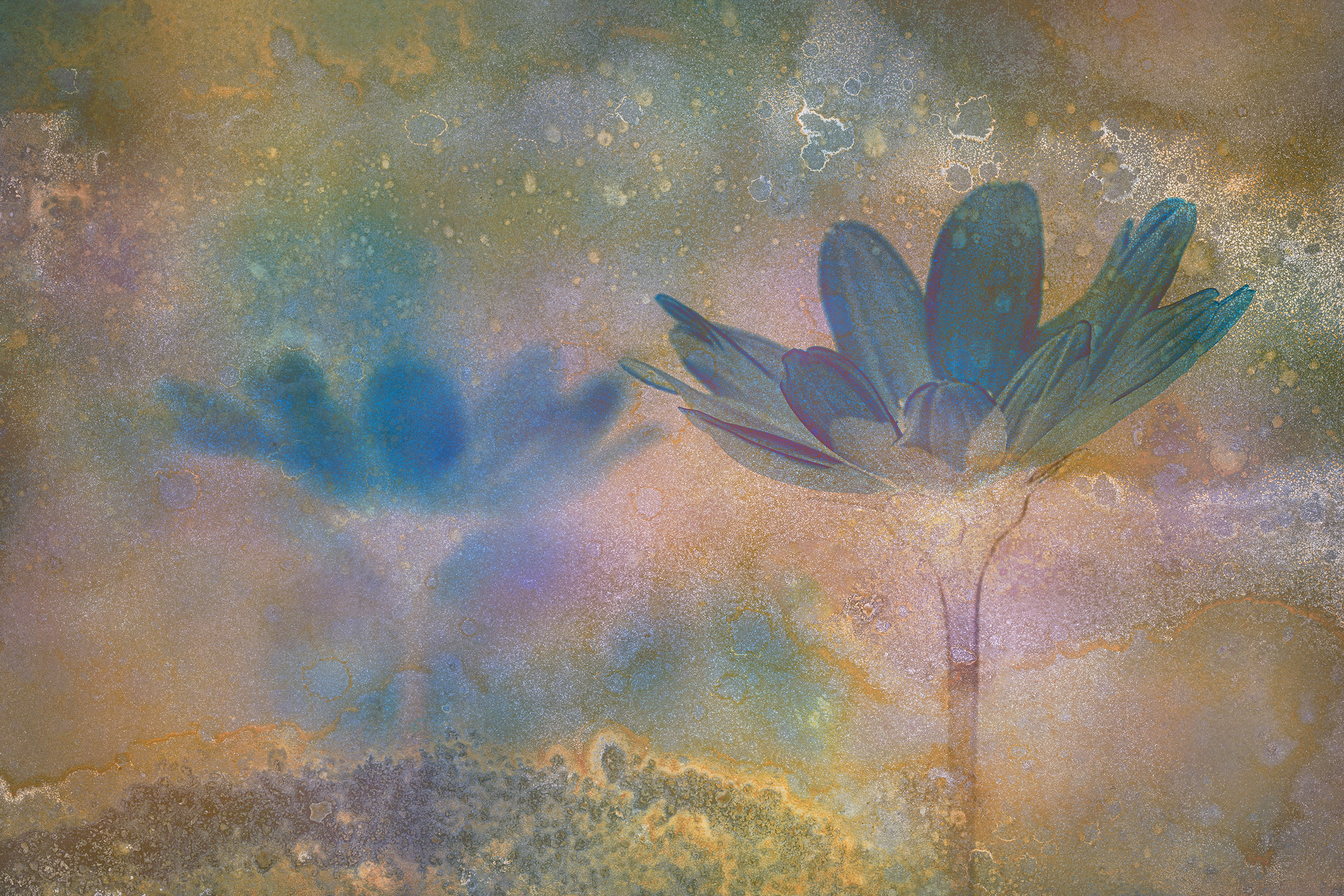 Online workshop - Artistic Expression & ICM with Florals - Image 10