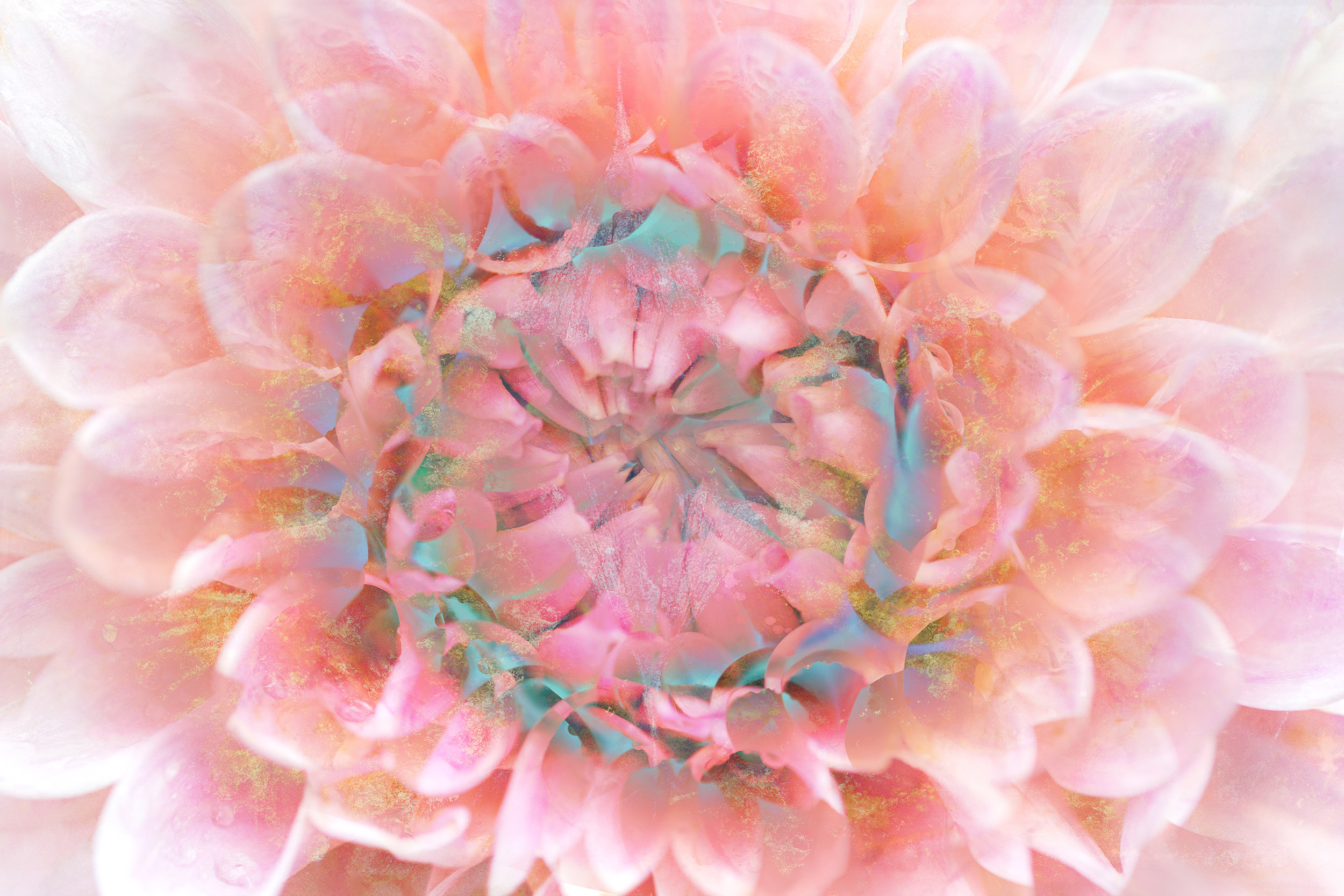 Online workshop - Artistic Expression & ICM with Florals - Image 11