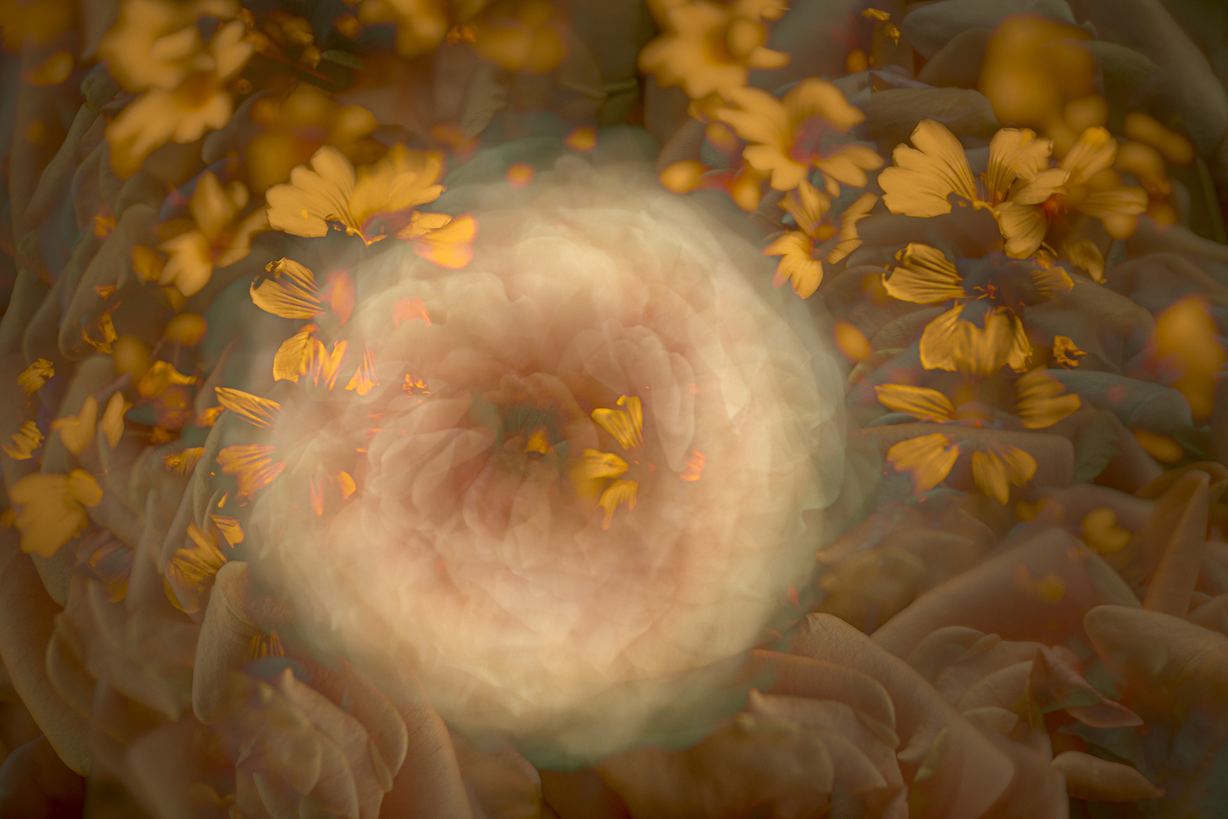 Online workshop - Artistic Expression & ICM with Florals - Image 12