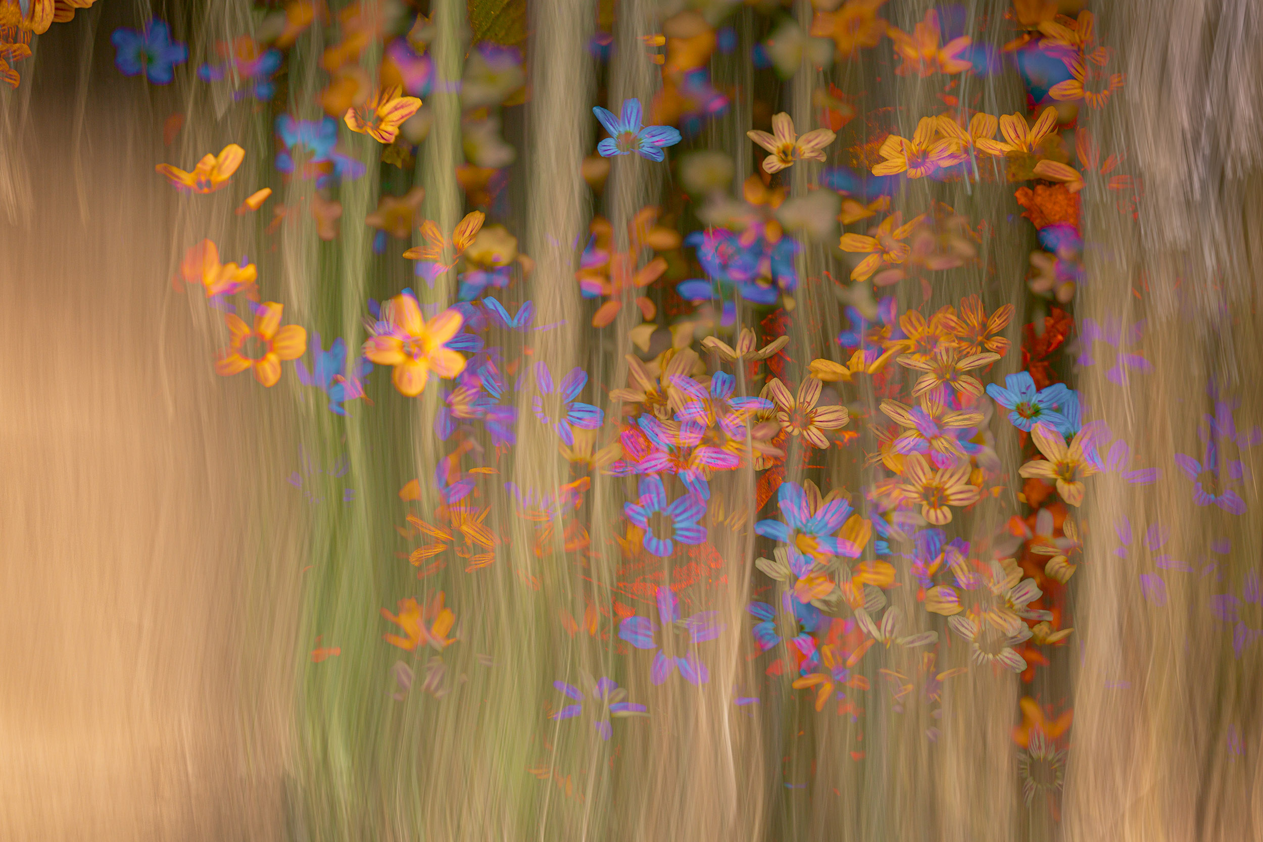 Online workshop - Artistic Expression & ICM with Florals - Image 13