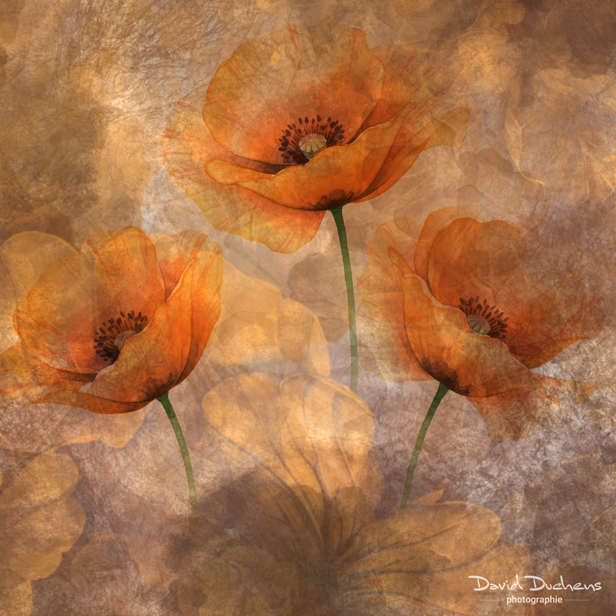 Online workshop - Artistic Expression & ICM with Florals - Image 16